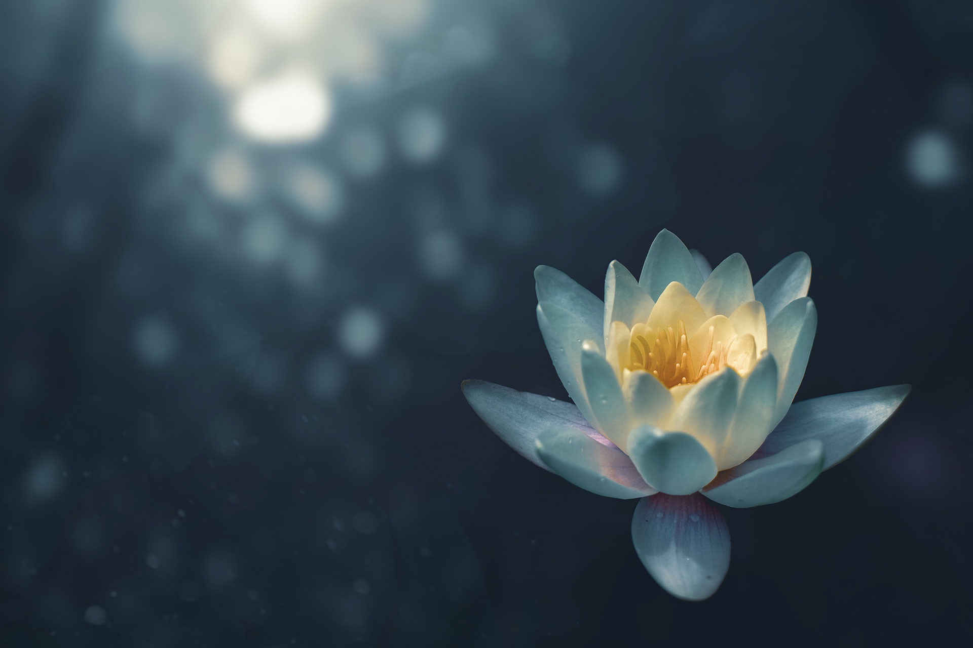 parallax background
